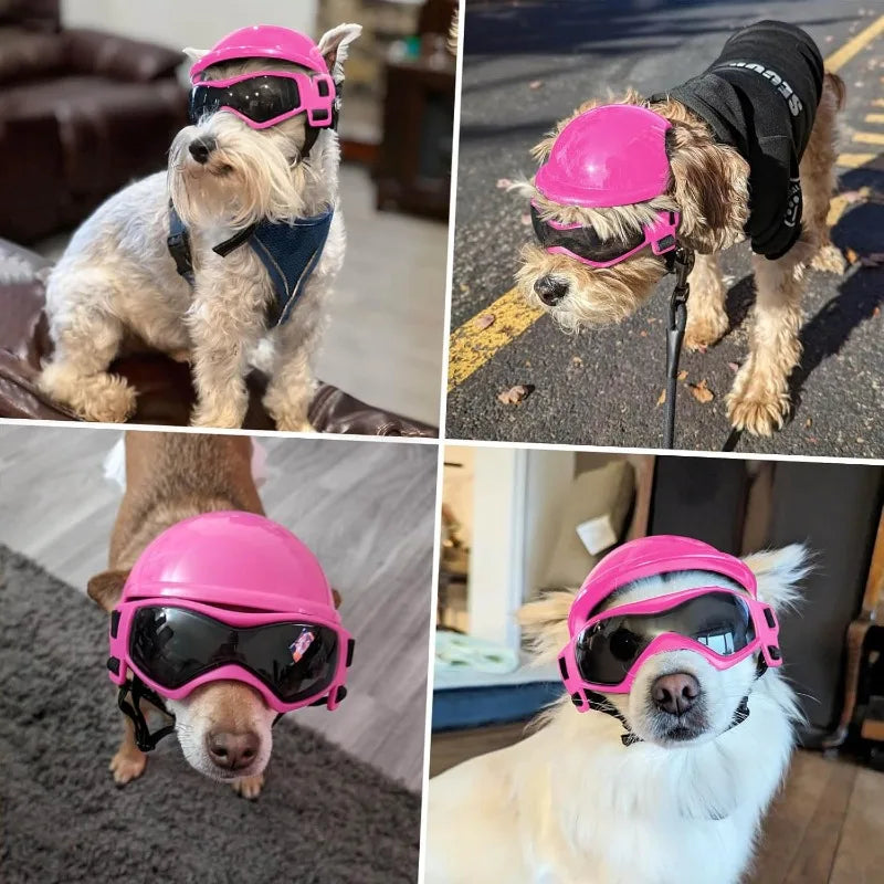 LETVIA-casco para perros S/M con gafas para perros, gafas de sol Anti-UV para perros, casco de motocicleta para mascotas, sombrero con orificios para las orejas, conducción al aire libre y caminar