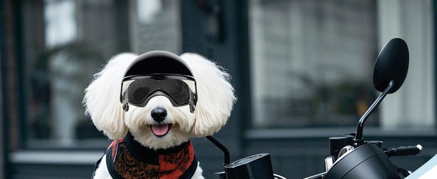 LETVIA-casco para perros S/M con gafas para perros, gafas de sol Anti-UV para perros, casco de motocicleta para mascotas, sombrero con orificios para las orejas, conducción al aire libre y caminar