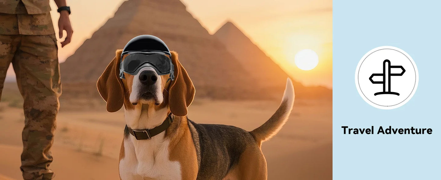 LETVIA-casco para perros S/M con gafas para perros, gafas de sol Anti-UV para perros, casco de motocicleta para mascotas, sombrero con orificios para las orejas, conducción al aire libre y caminar