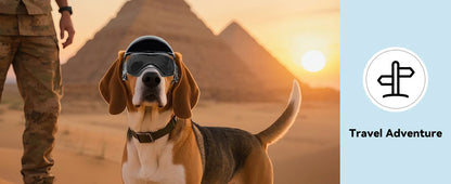 LETVIA-casco para perros S/M con gafas para perros, gafas de sol Anti-UV para perros, casco de motocicleta para mascotas, sombrero con orificios para las orejas, conducción al aire libre y caminar